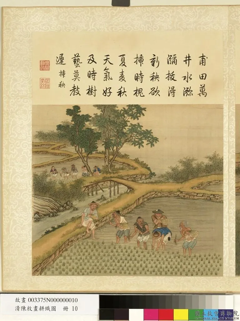 A Qing-dynasty agricultural illustration from the Gengzhi Tu, showing farmers transplanting rice seedlings